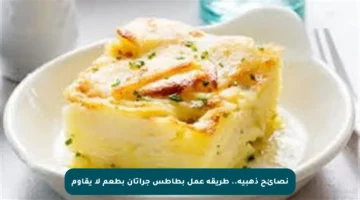 نصائح ذهبية.. طريقة عمل بطاطس جراتان بطعم لا يقاوم